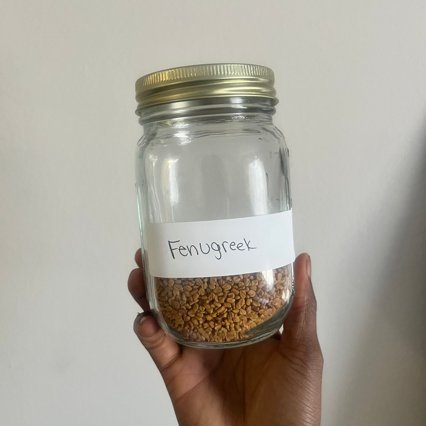 Fenugreek Seed