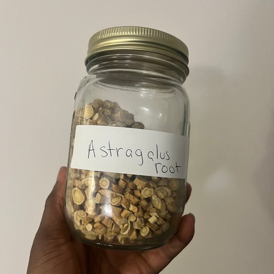 Astragalus Root