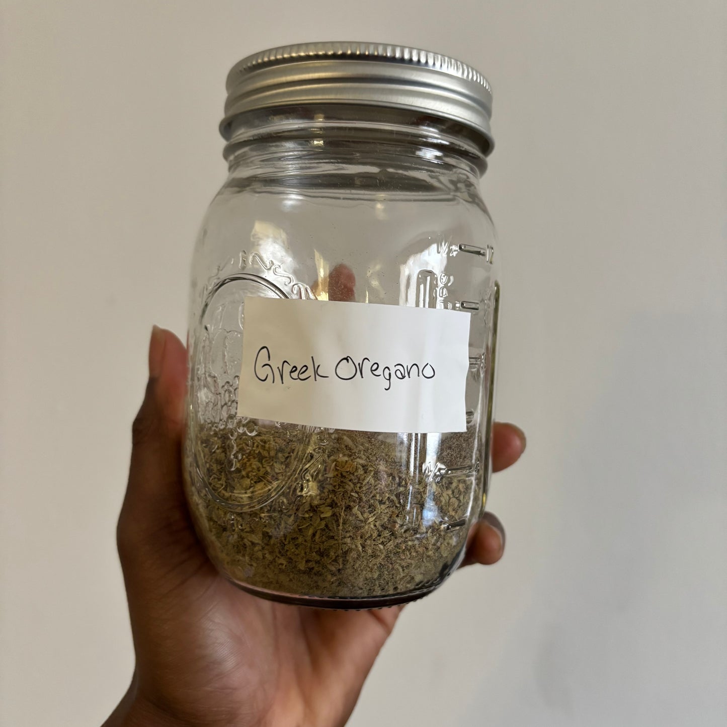 Greek Oregano