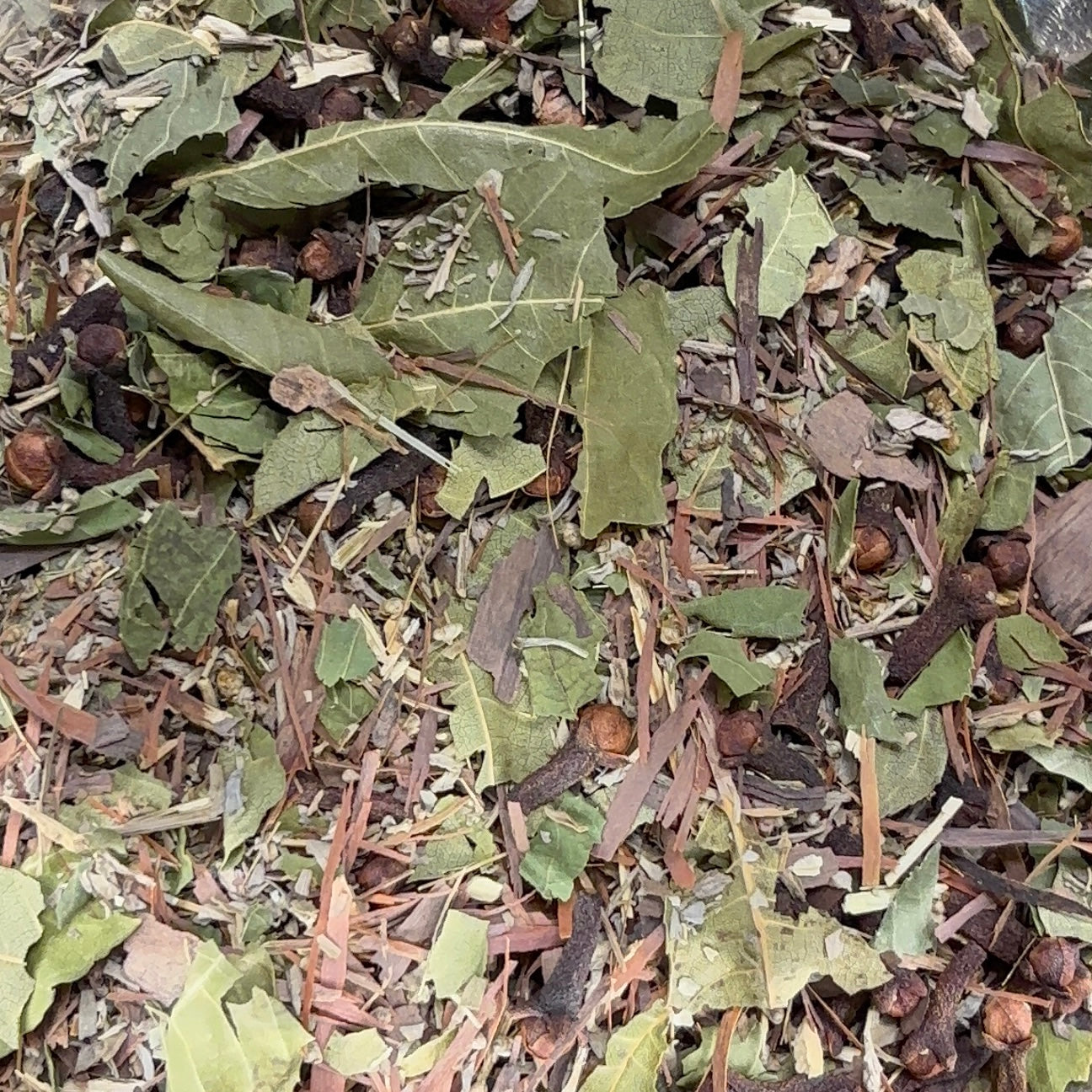 Dried herbal tea leaves and spices, including potential antiparasitic and detoxifying herbs such as wormwood, black walnut leaf, and oregano.