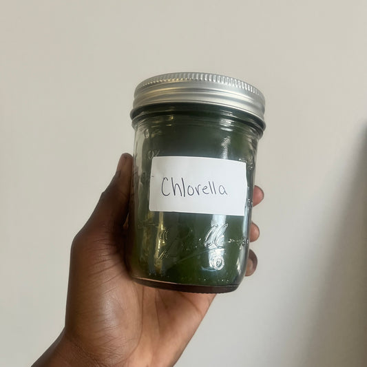 Chlorella